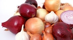 onions g63e638347 640