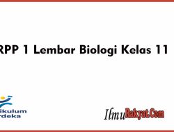 Download RPP 1 Lembar Biologi Kelas 11 SMA Tahun 2022