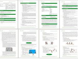 Contoh dan Cara Membuat Modul Ajar Sekolah Penggerak Merdeka Belajar