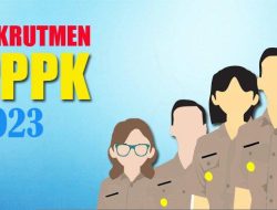 60 Pemda Ini Sudah Ajukan 100 Persen Kebutuhan, Kesempatan Guru Honorer Ikut Seleksi PPPK 2023 Terbuka Lebar 4 60 Pemda Ini Sudah Ajukan 100 Persen Kebutuhan, Kesempatan Guru Honorer Ikut Seleksi PPPK 2023 Terbuka Lebar