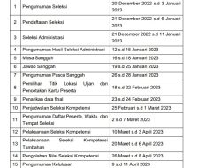 Jadwal Pelaksanaan Seleksi PPPK Tenaga Teknis