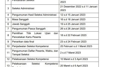Jadwal Pelaksanaan Seleksi PPPK Tenaga Teknis