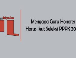 Status P pada PPPK Guru Honorer Harus Ikut Seleksi PPPK 2024?