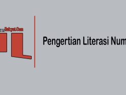 Ruang Lingkup Deskripsi Singkat Literasi Numerasi