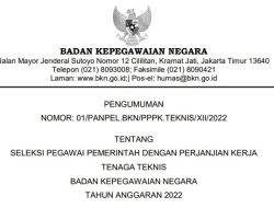Pengumuman Seleksi PPPK Teknis BKN TA 2022