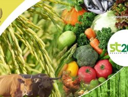 Persiapan, Panduan dan Strategi Pemasaran untuk Sensus Pertanian 2023