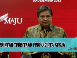 Pemerintah Terbitkan Perpu Cipta Kerja
