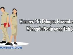 Honorer Dihapus November 2023 ! Mengadu Nasip yang Tak Jelas