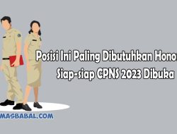 Posisi Ini Paling Dibutuhkan Honorer! Siap-siap CPNS 2023 Dibuka