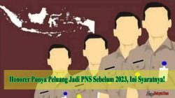 Apakah Honorer Punya Peluang Jadi PNS Sebelum 2023, Ini Syaratnya! 5 Apakah Honorer Punya Peluang Jadi PNS Sebelum 2023 Ini Syaratnya