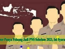 Apakah Honorer Punya Peluang Jadi PNS Sebelum 2023, Ini Syaratnya! 6 Apakah Honorer Punya Peluang Jadi PNS Sebelum 2023, Ini Syaratnya!