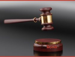 Pengertian Hukum Tata Negara Menurut Para Ahli, Tujuan, Asas, dan Contohnya