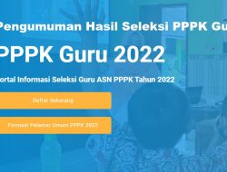 Inilah 8 Kategori Guru Seleksi Tanpa Tes Pada Rekrutmen PPPK 2023 5 Inilah 8 Kategori Guru Seleksi Tanpa Tes Pada Rekrutmen PPPK 2023