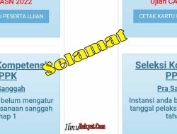 Pra Sanggah PPPK Artinya Apa, P1 P2 P3 P Umum