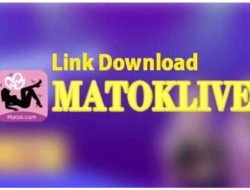 Matok Live Mod Apk, Buka Bebas Semua Room Tanpa Batas!