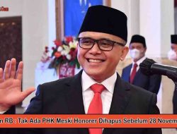 Menpan RB : Tak Ada PHK Meski Honorer Dihapus Sebelum 28 November