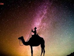 Doa Malam Lailatul Qadar, Baca Agar Mendapat Keistimewaan Ramadhan