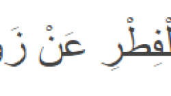 image-1 image-1