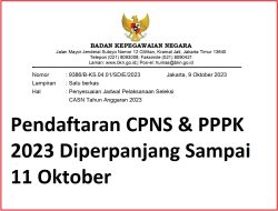 Pendaftaran CPNS & PPPK 2023 Diperpanjang Sampai 11 Oktober