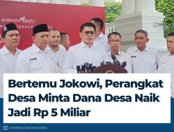 Bertemu Jokowi, PPDI Minta Dana Desa Naik jadi Rp 5 Miliar