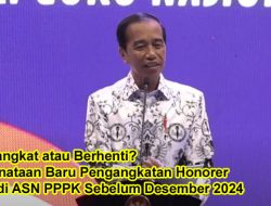 Diangkat atau Berhenti? Penataan Baru Pengangkatan Honorer Jadi ASN PPPK Sebelum Desember 2024