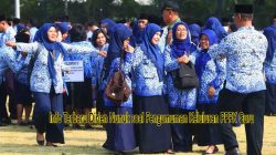 Info Terbaru Dirjen Nunuk soal Pengumuman Kelulusan PPPK Guru, Menghitung Hari 6 Info Terbaru Dirjen Nunuk soal Pengumuman Kelulusan PPPK Guru