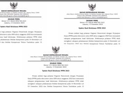 Update Hasil Kelulusan PPPK 2023, 017/RILIS/BKN/XII/2023