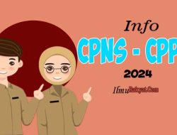 690 Ribu Formasi CPNS 2024 untuk Guru, Dosen, Tenaga Kesehatan, Cocok untuk Fresh Graduate