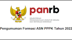 Kumpulan Link Download Pengumuman Formasi ASN PPPK Tahun 2025 5 Kumpulan Link Download Pengumuman Formasi ASN PPPK Tahun 2022