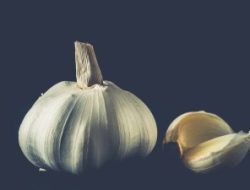Manfaat Bawang Putih Untuk Kesehatan