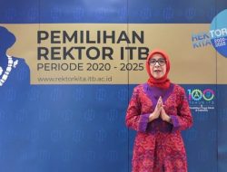 Gusti Ayu Putri Saptawati, Pengembang Sirekap Senilai 3,5M?