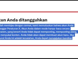 Bagaimana Cara Mengembalikan Akun X (Twitter) yang Ditangguhkan