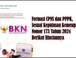 Formasi CPNS dan PPPK, Sesuai Keputusan Kemenpan RB Nomor 173 Tahun 2024 Berikut Rinciannya