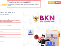 Lengkap! Jadwal CPNS 2024, Dimulai Minggu Ketiga Agustus, Link https://training-daftar-sscasn.bkn.go.id/akun