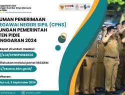 CPNS Kab. Pidie Pengumuman Pengadaan Calon Pegawai Negeri Sipil di Lingkungan Pemerintah Kabupaten Pidie Tahun Anggaran 2024