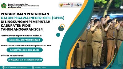 CPNS Kab. Pidie Pengumuman Pengadaan Calon Pegawai Negeri Sipil di Lingkungan Pemerintah Kabupaten Pidie Tahun Anggaran 2024