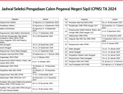 Resmi, BKN Umumkan Seleksi CPNS 2024, Simak Jadwalnya
