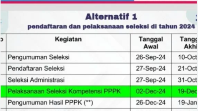 Inilah Jadwal Pendaftaran PPPK 2024, BKN: Disepakati Alternatif 1