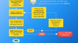 Alur Penetapan NIP CPNS dan NI PPPK 2024