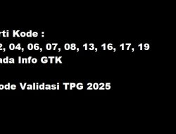 Memahami Kode Status Info GTK untuk Tunjangan Profesi Guru 2025, Kode 02, 04, 06, 07, 08, 13, 16, 17, 19 pada Info GTK, Kode Validasi TPG 2025